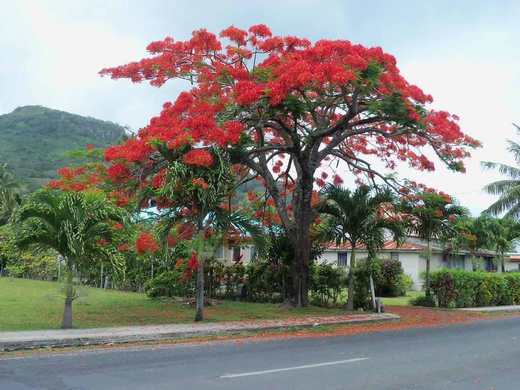 Coral Sands Apartments Rarotonga Exterior foto